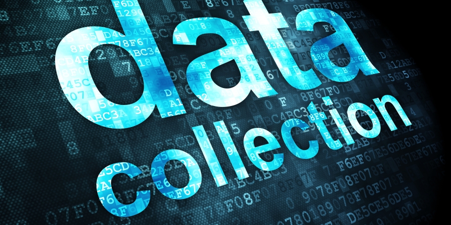 Feasibility study for new product launch